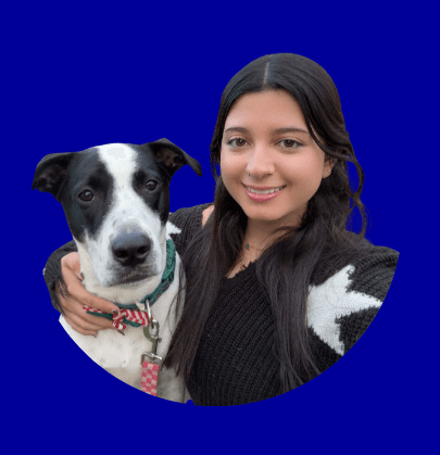 Screenshot 2025-08-08 151808